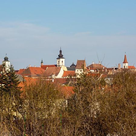 Ferienwohnung The Views Hermannstadt Exterior foto